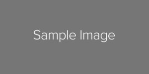 sample-logo-2